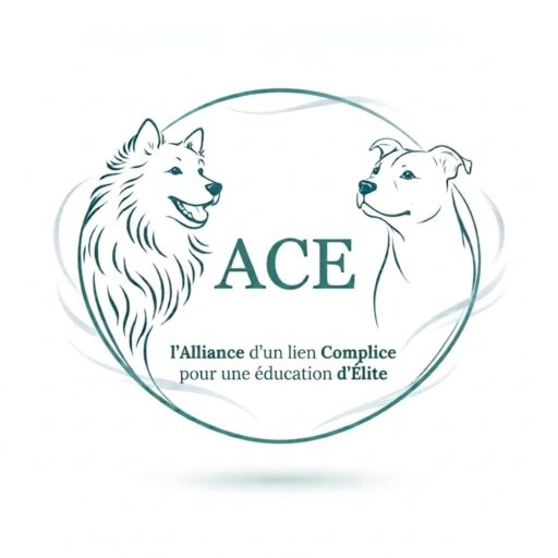 Complices canins et Dog élite